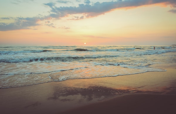 Playa Jardín